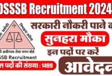 DSSSB Recruitment 2024